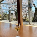 重兵衛 - カウンター席からの眺め。桜とお庭。