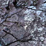 トラットリア グランボッカ - 