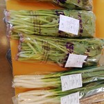 大野ふるさと物産館 - 