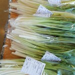 大野ふるさと物産館 - 