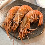 日本鮮魚甲殻類同好会 - 