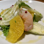 オステリア イル ガルボ - 