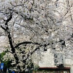 ポンデュガール - 