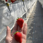 姫路ハートフル観光農園 - 