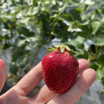 姫路ハートフル観光農園 - 