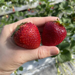 姫路ハートフル観光農園 - 