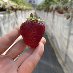 姫路ハートフル観光農園 - 