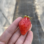 姫路ハートフル観光農園 - 