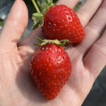 姫路ハートフル観光農園 - 