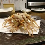 天ぷら 穴子蒲焼 助六酒場 - ホタルイカの天ぷら