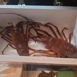 明道町中国菜 一星 - 