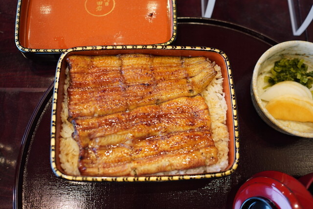 横浜野田岩 よこはま のだいわ 平沼橋 うなぎ 食べログ 横浜野田岩 よこはま のだいわ 平沼橋 うなぎ 食べログ