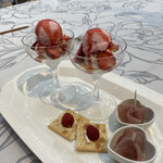 THE HOUSE OF LINDOMAR - 