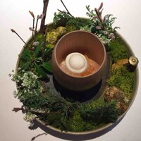 レスピラシオン - 