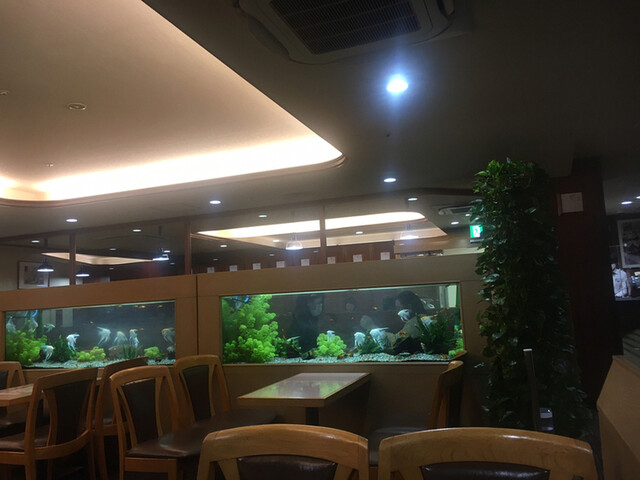 フラミンゴ 池袋 喫茶店 食べログ フラミンゴ 池袋 喫茶店 食べログ