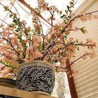 御膳房 六本木店 - 