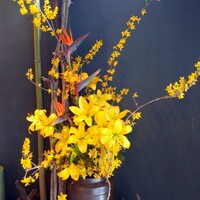 鮨こゝろ - レンギョウの季節です