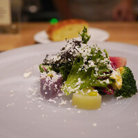 ARMONICO - 