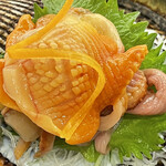 ひさご寿し - 殻付き赤貝