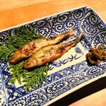 炭火割烹 蔓ききょう - 