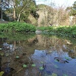 合歓のはな - 宿の敷地内散策