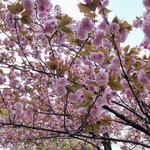 シャテーニュ - 