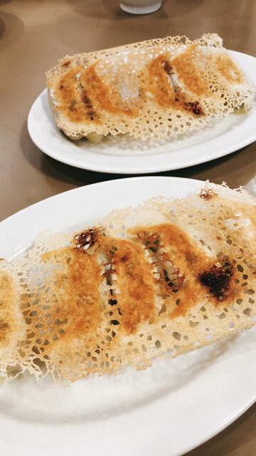 東京餃子軒 溝の口店 溝の口 餃子 食べログ 東京餃子軒 溝の口店 溝の口 餃子 食べログ
