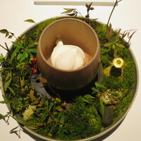 レスピラシオン - 農口研究所/羽咋自然米