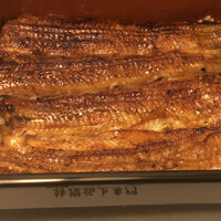 うなぎ川勢 - 大型の鰻一尾