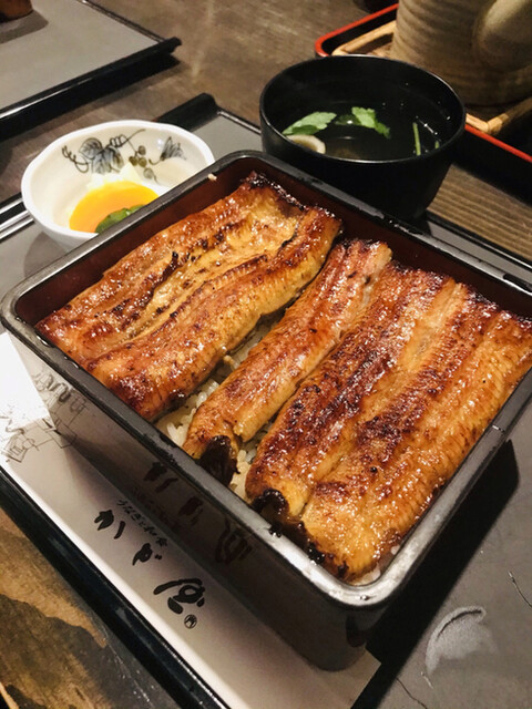 By タカジュンランド かど屋 すすきの 市営 うなぎ 食べログ By タカジュンランド かど屋 すすきの 市営 うなぎ 食べログ