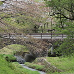 Asahiya - 霞間ヶ渓の桜