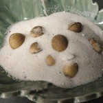 Salt-roasted ginkgo nuts