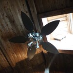 まいこのカレー - 