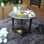 箱根ハイランドホテル ラウンジ - 雨上がりの朝食