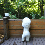 箱根ハイランドホテル ラウンジ - 朝食前のひととき〜♬