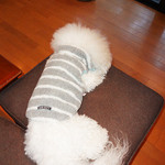 箱根ハイランドホテル ラウンジ - お外は雨・・・