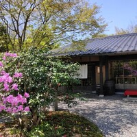 洋食 つばき - 