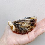 銀座で生牡蠣が美味しい専門店 牡蠣Bar - 殻の形にもこだわります