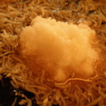 蕎麦 たじま - 冷かけしらすおろしそば；アップ