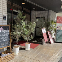 Magnolia - 