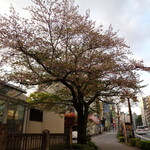 一〇そば - 駅前の桜