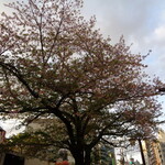 一〇そば - 葉桜