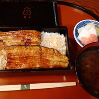 うなぎ秋本 -  うなぎ秋本 -
