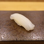 あま木 - 剣先いか