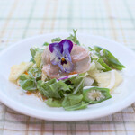 パイナップル畑 - 