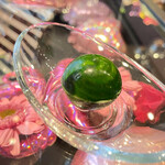 グラデ バローナ - 