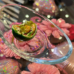 グラデ バローナ - 