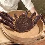 赤坂 きた福 - 大きな活タラバ蟹