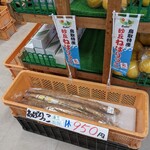 道の駅大栄　レストインだいば - 950円