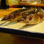 岸田屋 - ハリ子（秋刀魚の子供）